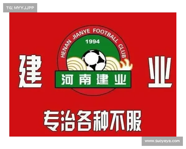 建业足球俱乐部法人结构与职能解析：组织架构与运营模式深度剖析